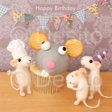 Birthday W302