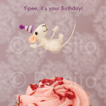 Birthday W312